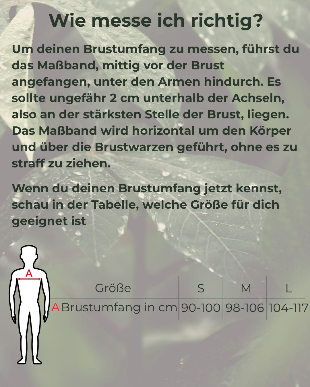 Größentabelle für SCHEVE Herren Pyjama Poloshirt mit Anleitung wie man richtig misst